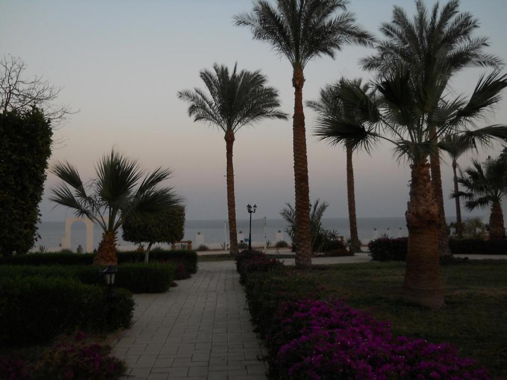 Royal Paradise Resort Sharm el-Sheik Eksteriør bilde